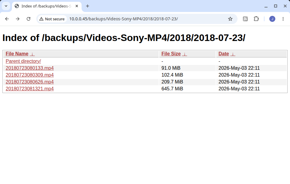Screenshot of nginx fancyindex file browser